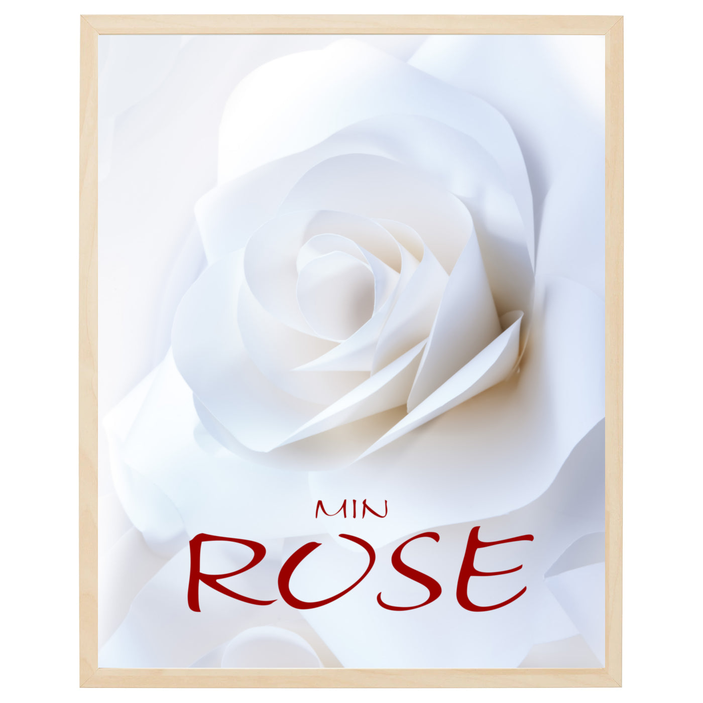 Dette er en smuk plakat med et nærbillede af en hvid rose i fuldt flor på en lys baggrund. Blomstens bløde kronblade og dens grønne støvdragere er i fokus i billedet og skaber en visuel kontrast til baggrunden. Den hvide rose symboliserer uskyld, renhed og ydmyghed. Plakaten er perfekt til at skabe en afslappende og rolig atmosfære i ethvert rum.