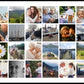 Foto collage i grid design med hvid baggrund, lagt ned på langs og med op til 300 dejlig foto minder - fra din Hjemegn