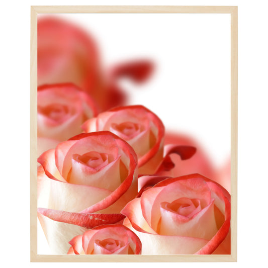 En plakat med en kollage af orange roser, der er arrangeret på en hvid baggrund. Rosenes kronblade er fyldt med liv og bevægelse, og deres farve skaber en følelse af varme og passion. Plakaten er en hyldest til naturens farver og former og minder os om, at skønhed kan findes i selv de mest almindelige af ting.