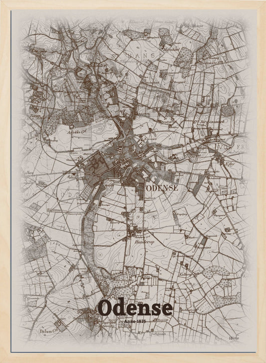 Odense anno år 1875 | retro plakat fra din HjemEgn | hurtig levering og høj kvalitet [køb nu] 